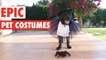 Epic Halloween Pet Costumes | Tricks or Treats?!