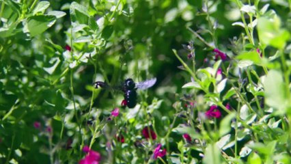 This Video Might Just Make Your Skin Crawl…Hopefully