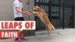 Leaps of Faith | Funny Animal Jumps Compilation