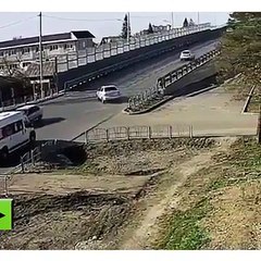 Os cachorros que curtem a desgraça alheia