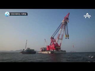 인양 D데이는 식목일_채널A_뉴스TOP10