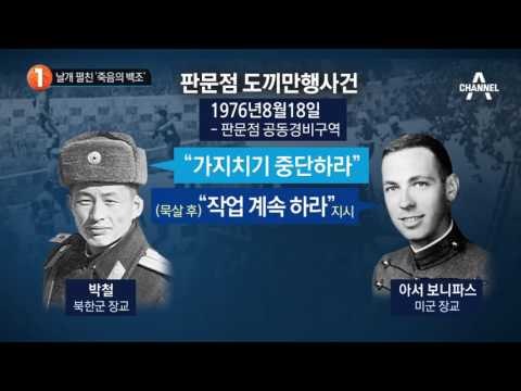 날개 펼친 ‘죽음의 백조’_채널A_뉴스TOP10