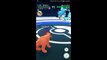 Pokémon GO Gym Battles Level 4 Gym Egg Hatches Pichu Rare Catches & more