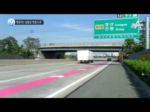 헷갈리는 갈림길 ‘분홍 도로’_채널A_뉴스TOP10