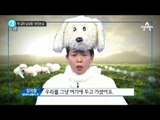 정이랑이 전하는 “청와대 진돗개 이야기”_채널A_뉴스TOP10