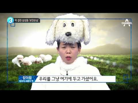 정이랑이 전하는 “청와대 진돗개 이야기”_채널A_뉴스TOP10