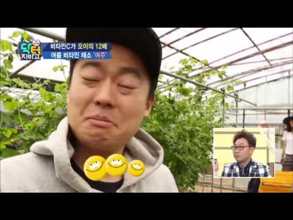 비타민C 함량이 오이의 10배라는 비타민 채소 '여주'