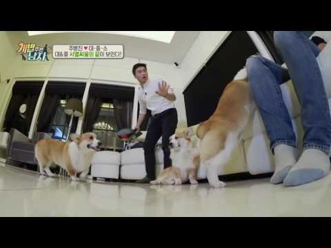 진정한 스파르타! 반려견 서열 싸움 해결법 大 공개!
