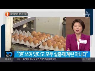 계란에 찍힌 숫자의 비밀_채널A_뉴스TOP10