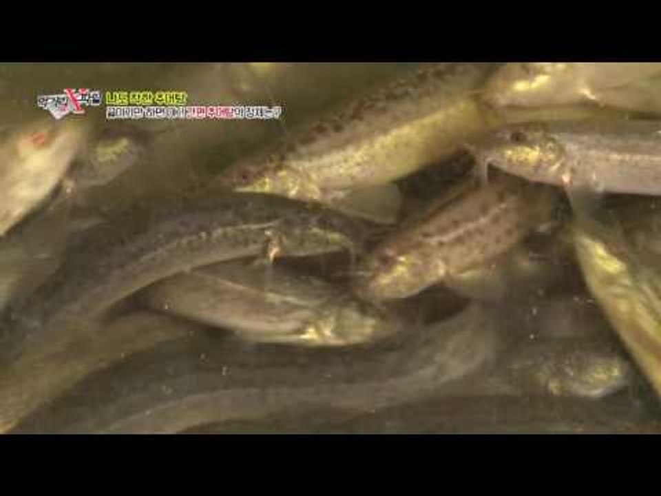 끓이기만 하면 OK! 팩 추어탕이 직접 끓인 수제 추어탕이 된다?