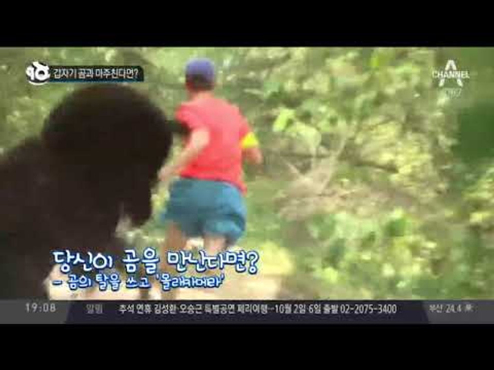 갑자기 곰과 마주친다면?_채널A_뉴스TOP10