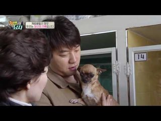 반려견이 가장 예쁠 때는?! 개밥 패밀리의 감동 토크!