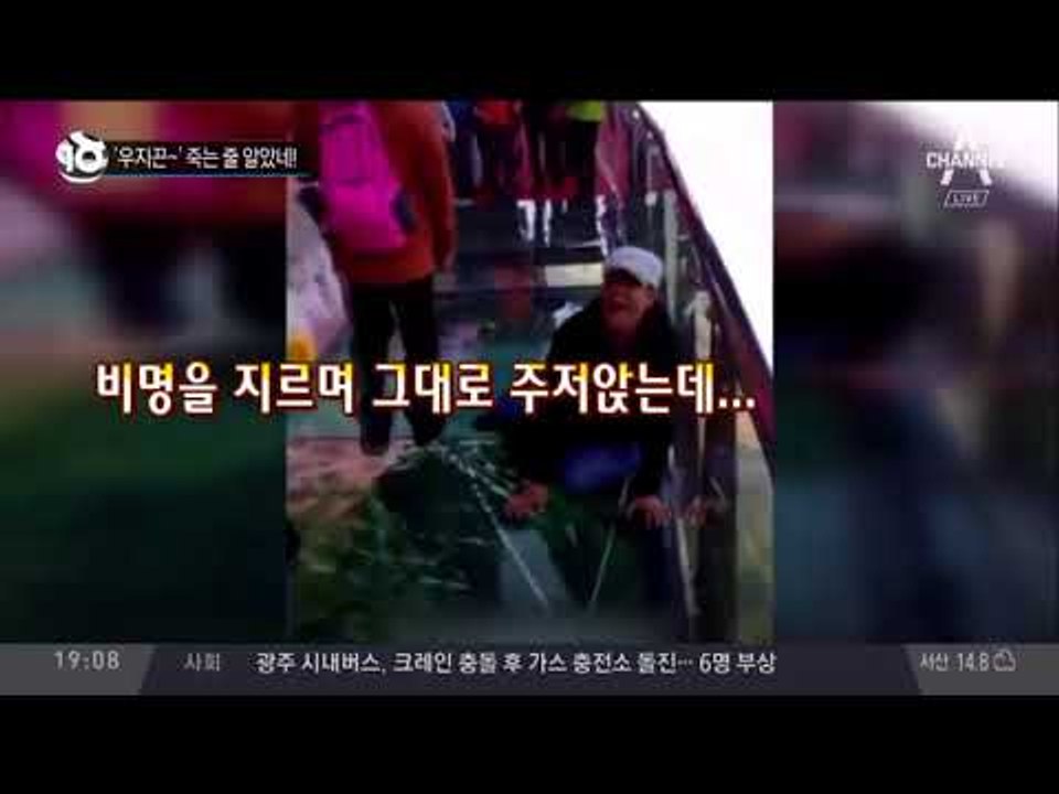 ‘우지끈~’ 죽는 줄 알았네!