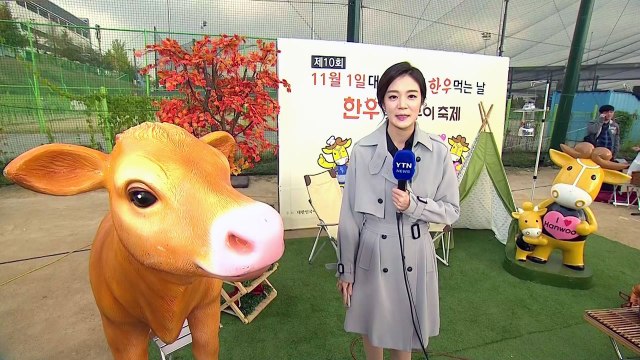 [날씨] 구름 많고 포근한 늦가을...한우 축제 즐겨요 / YTN