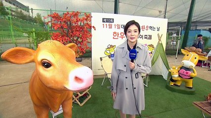 [날씨] 구름 많고 포근한 늦가을...한우 축제 즐겨요 / YTN