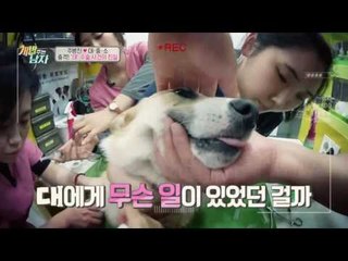 전 국민 가슴 앓이! '대' 수술 사건의 전말은?!