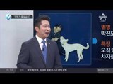 “진돗개 출입금지”_채널A_뉴스TOP10