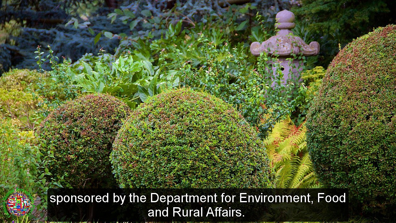 Top Tourist Attractions Places To Visit In UK-England | Royal Botanic Gardens Kew Destination Spot - Tourism in UK