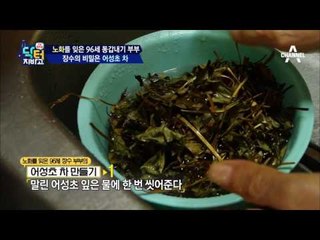 말 그대로 백년해로! 96세 부부의 장수 비결은 바로 ‘어성초’?!