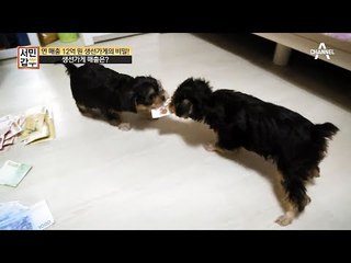 프로낚시러 재권 씨의 어마어마한 매출, 대형마트 부럽지 않다?!