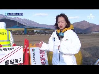 ‘물백신’ 논란에 불안한 축산농가…정부 “근거없다”