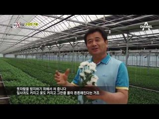 거봉농가에서 사용한다는 농약 '비나인'의 실체는?