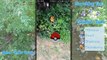 Pokémon Go!! Ekans On the Hunt & Mushroom Eating Squirrels!! - Episode #5
