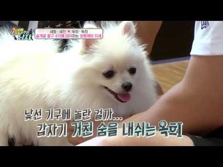 보조기 때문에 걷기 힘들어하는 옥희...