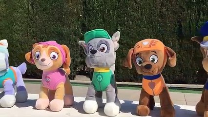 Patrulla Canina español EN LA PLAYA SALVA A UN DELFÍN y la fiesta acuática en la piscina/cap 72