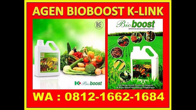 0812-1662-1684(T-Sel), Bioboost Untuk Ternak Lele