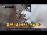 곰 “오빠~ 달려!”_채널A_뉴스TOP10