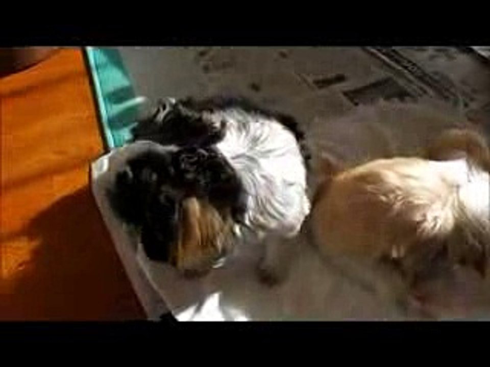 遅く起きた朝は