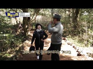 좋은 것만 보고 건강도 찾고~ 면역력 높여주는 삼림욕! #피톤치드