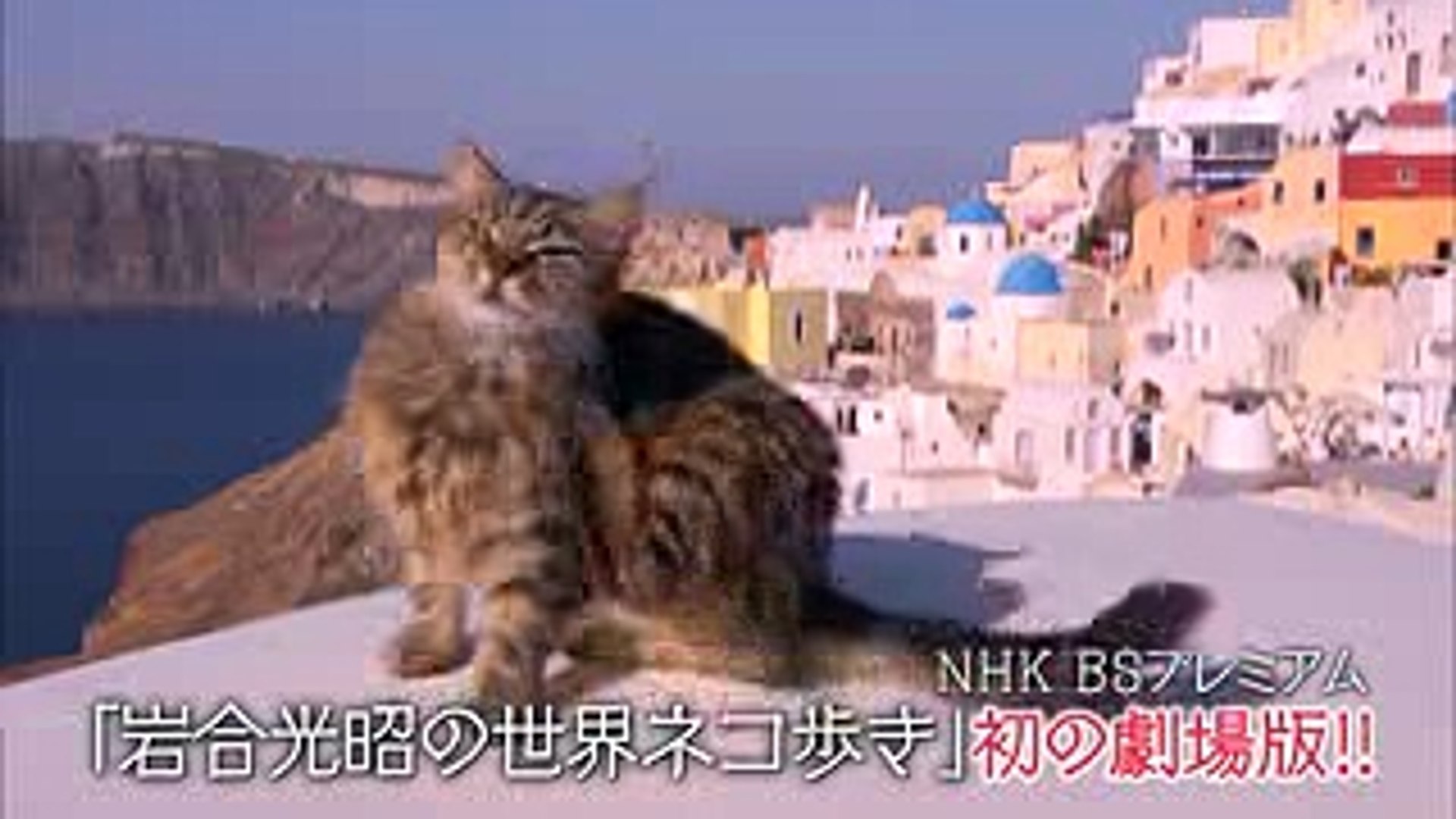 猫主役のあの人気ドキュメンタリー番組がいよいよ 映画 劇場版 岩合光昭の世界ネコ歩き 予告編30秒 Video Dailymotion