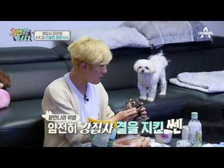 이 구역 최고의 에너자이저 맥시멈 놀아주는 방법.avi