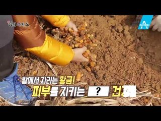 [예고] 돈 긁어모으는 숯의 모든 것