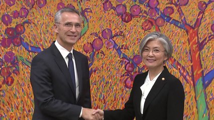 강경화 장관, 나토와 북핵 문제 공조 논의 / YTN