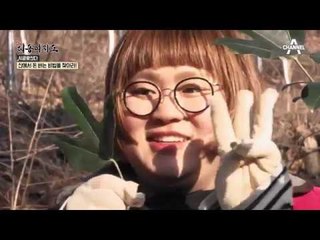 산에서 연 매출 2억?! ‘돈 버는 나무’의 정체는?