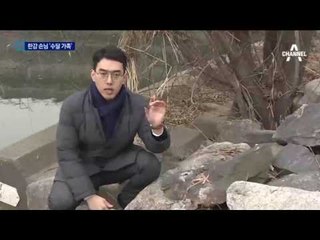 “아직 살아 있어요”…반가운 한강 손님 ‘수달 가족’