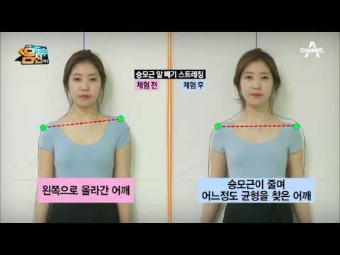 거북목 교정기 필요 없다! 승모근 알 빼기 스트레칭, 5분 만에 나타난 놀라운 효과 공개!