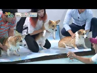 대중소 개가 아니라 물개?! ‘대중소 수영대회’ 금메달은?!