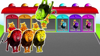 NEW LION with Winnie the Pooh!!! LEARN NUMBERS! Video for kids and toddlers!