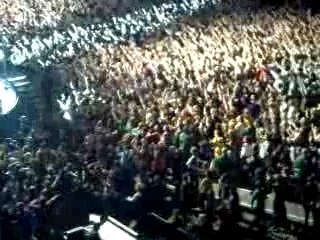 back for good rotterdam