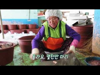 [선공개] 60년간 홍어손질도 직접하는 서민갑부