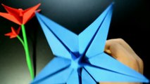Origami: Flor Estrela - Instruções em Português PT-BR