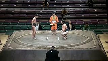 大相撲歴史的珍勝負