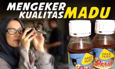 Begini Cara Tahu Kualitas Madu Pakai Teropong