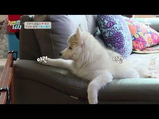 레슬링성애자 최현석, 막내딸(?) 뚜이에게 거침없는 헤드록?!