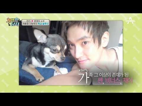 가족 그 이상! 연예계 대표 펫팸족 강타의 숨겨진 속 사정은?