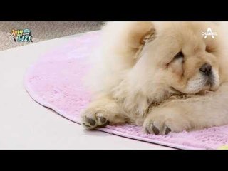 이경영과 활짝&피움의 첫날밤! 그릉그릉 소리에 마음까지 따숩!